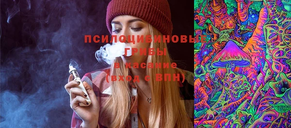 спайс Алексин