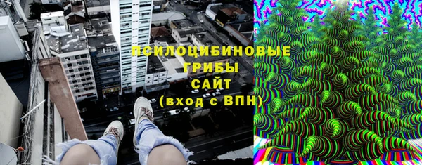 спайс Алексин